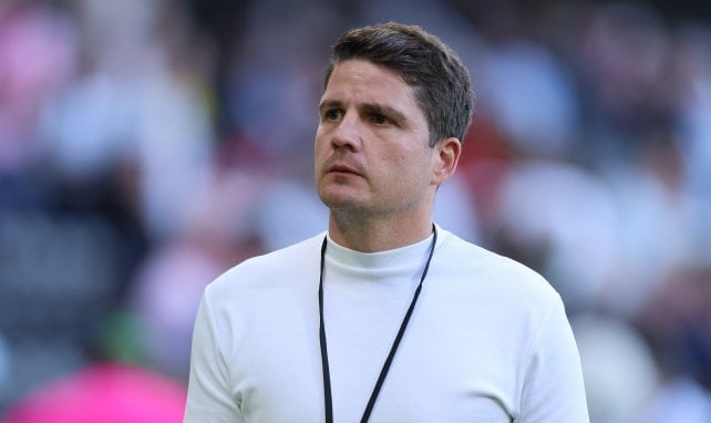 Schwegler heuert in Wolfsburg an