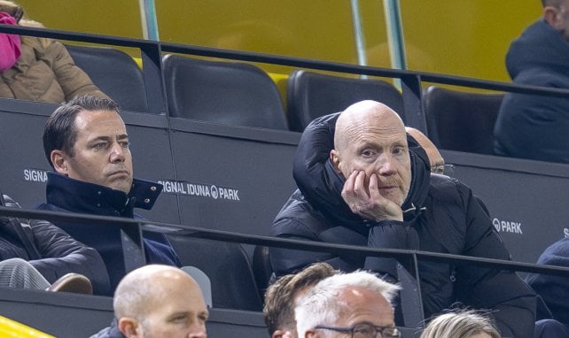 BVB: Verliert Sammer seinen Job?