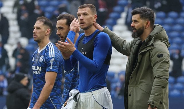 Riesige Transfer-Euphorie: So könnte Schalke mit den Neuen spielen