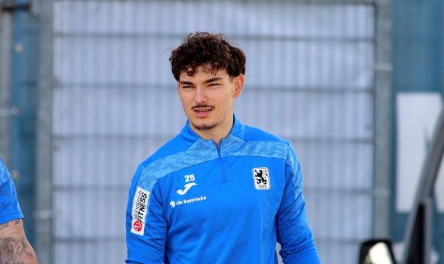 Schalke ausgestochen: Hoffenheim holt Dulic