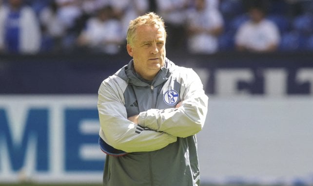 Büskens vor Trainer-Comeback?