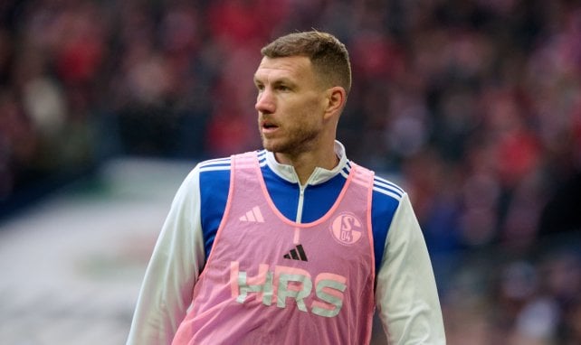 Muslic lässt Dzeko von der Leine