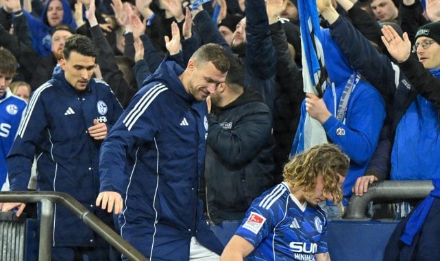 Schalkes spektakulärer Dzeko-Plan