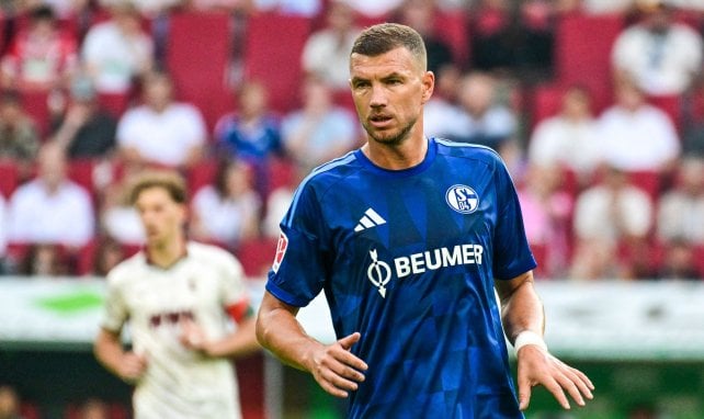 Dzekos Liebeserklärung an Schalke