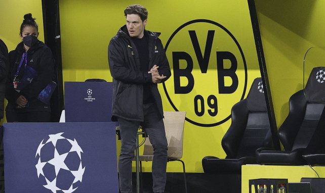 Dortmund-Trainer Edin Terzic bei einem Spiel in der Champions League