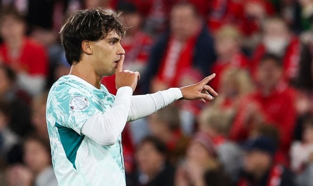 Félix zurück nach Europa?