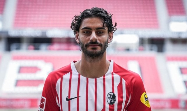 Werder arbeitet an Dinkci-Rückkehr