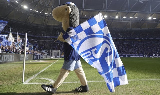 Erwin mit der Schalke-Fahne