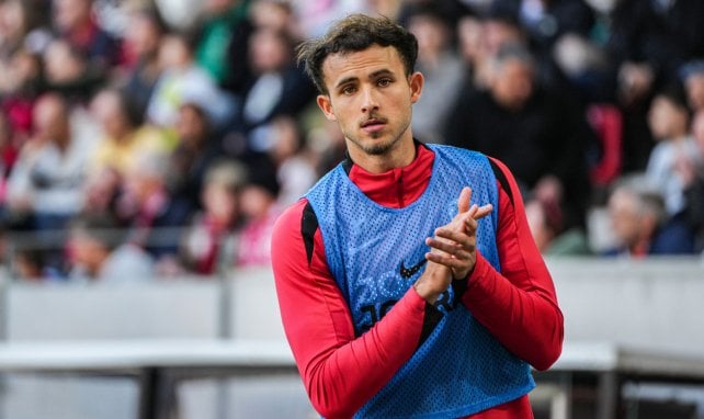 WM in weiter Ferne: Freiburg sorgt sich um Rosenfelder