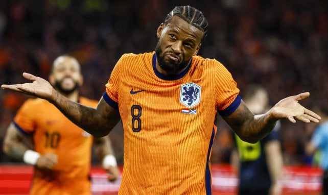 Wijnaldum vor Rückkehr in die Premier League?