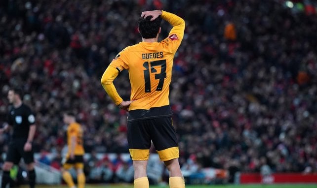 Gonçalo Guedes