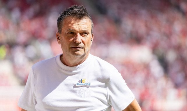 Heidel in der Sonne