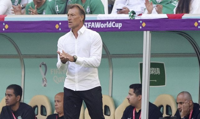 Hervé Renard an der Seitenlinie bei der WM in Katar