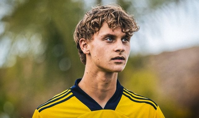 Ajax verpflichtet Ibrahimovic