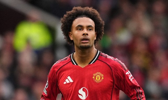 Zirkzee-Wechsel zurück nach Deutschland?