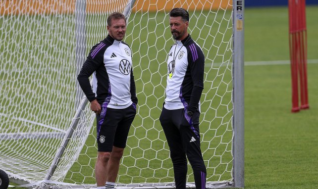 Julian Nagelsmann an der Seite von Sandro Wagner