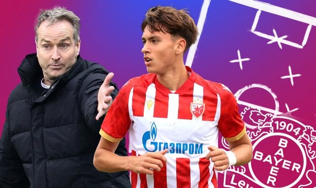 Neues Bayer-Juwel: Wird Riese Damjanovic zum Sturm-Anker?