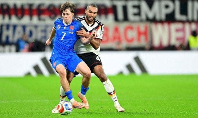 Zwei Zusagen für Hoffenheim