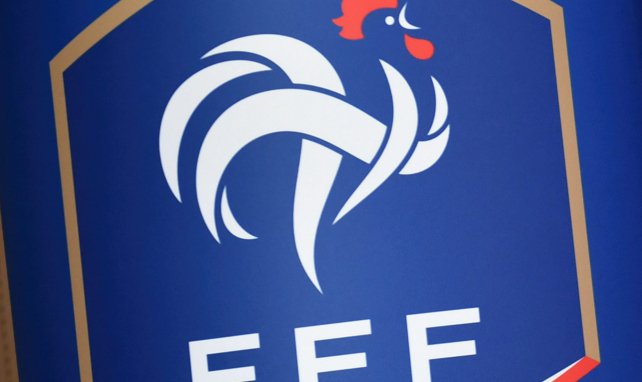 Das Logo der FFF