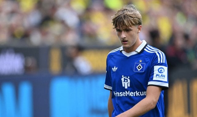 HSV: Cleverer Plan mit Lemke