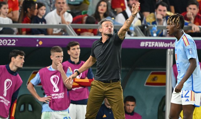 Enrique nicht länger spanischer Nationaltrainer – de la Fuente übernimmt