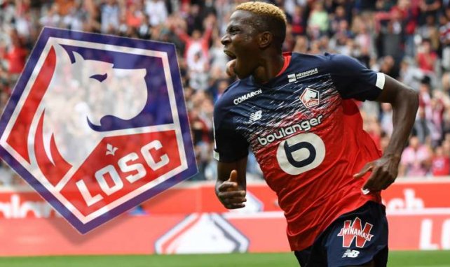 OSC Lille Victor James Osimhen