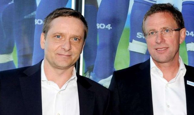 Schalke 04 Ralf Rangnick