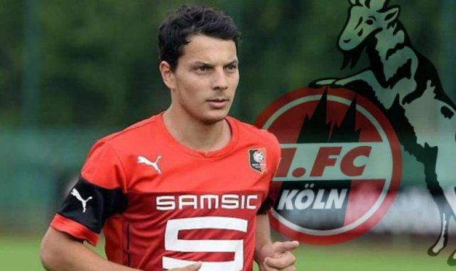 1. FC Köln Philipp Hosiner
