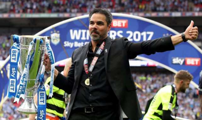 Meisterte mit Huddersfield den Aufstieg: David Wagner