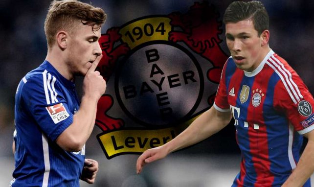 Meyer und Höjbjerg stehen bei Bayer Leverkusen auf dem Wunschzettel