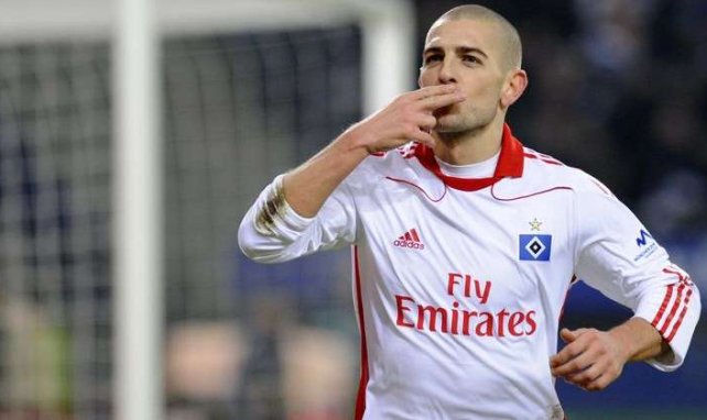 Hamburger SV Mladen Petrić