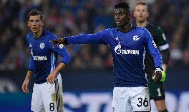 Muss seinen Platz auf Schalke wieder finden: Breel Embolo