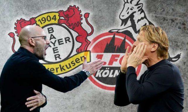 Peter Bosz trifft mit Bayer Leverkusen auf den 1. FC Köln mit Markus Gisdol