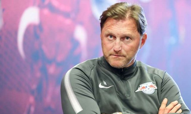 Ralph Hasenhüttl könnte bald in die Bundesliga zurückkehren
