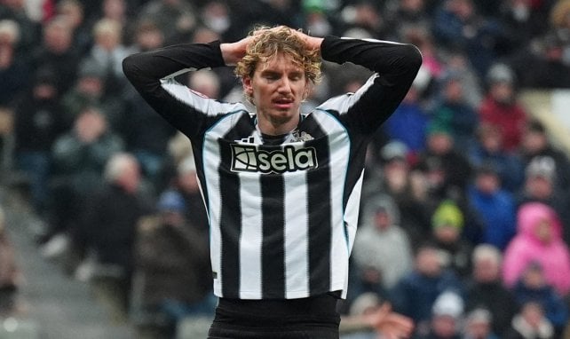 Der Woltemade-Hype-Train gerät ins Stocken