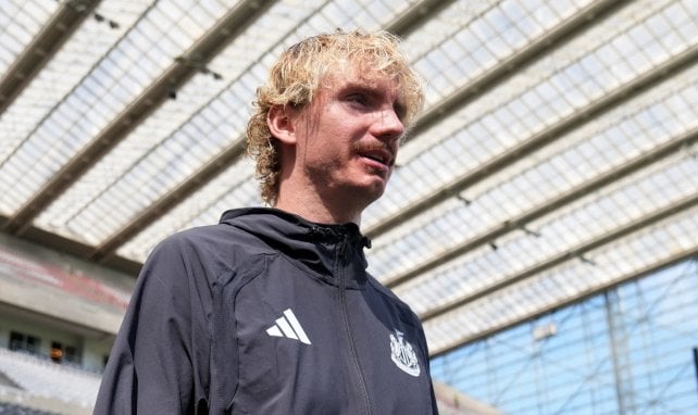 Bundesliga-Rückkehr: Hat sich Woltemade schon entschieden?