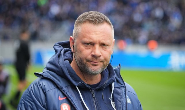 Pal Dárdai als Hertha-Coach