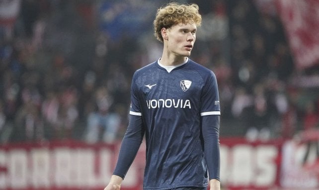Pannewig schaut dumm