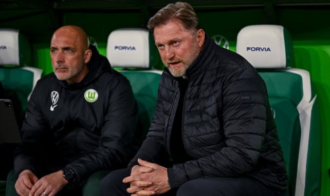 Ralph Hasenhüttl auf der Bank