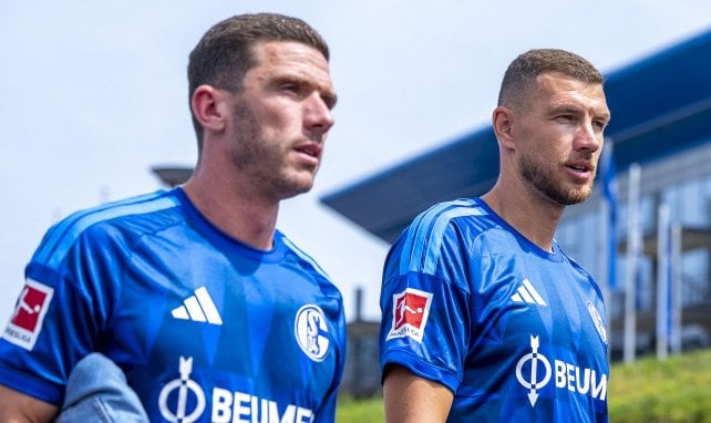 Schalke 04: Gosens „komische Gefühle“