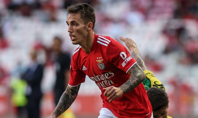 Grimaldo im Trikot von Benfica