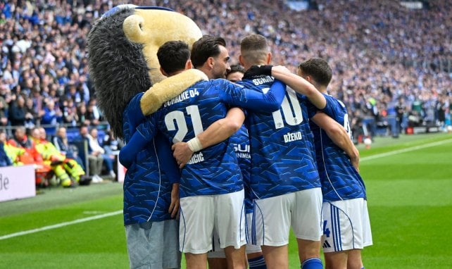 Fetter Millionen-Regen für Schalke