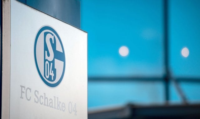 Die Nachwuchsausbildung beim FC Schalke 04 genießt einen guten Ruf