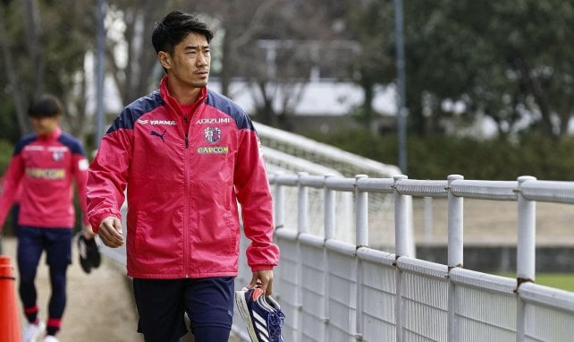 BVB plant Kagawa-Comeback