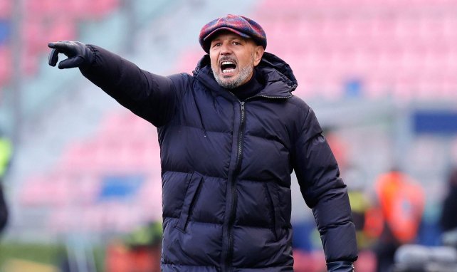 Chefcoach in Bologna: Sinisa Mihajlovic