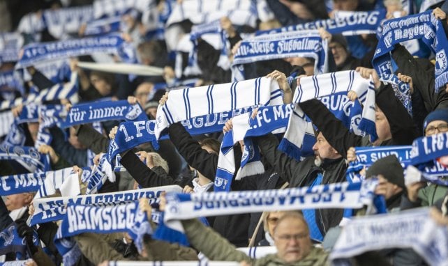 Fans von Magdeburg halten Schal hoch