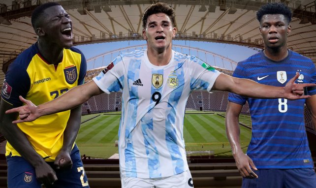 Moisés Caicedo, Julián Álvarez und Aurélien Tchouaméni wollen bei der WM durchstarten