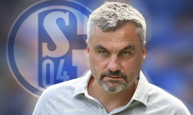 Thomas Reis übernimmt den Trainerposten auf Schalke