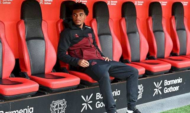 Tillman sitzt alleine in der Arena