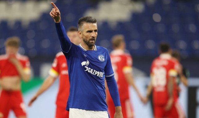Vedad Ibisevic kam im September 2020 zu Schalke